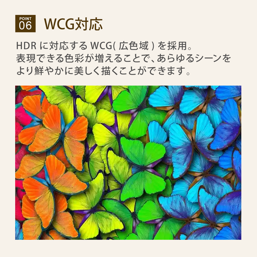 WCG対応