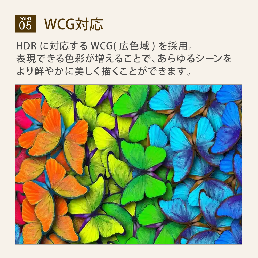 WCG対応