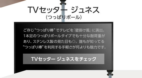 TVセッター ジュネスをチェック