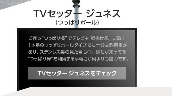 TVセッター ジュネスをチェック