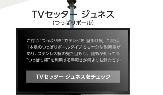 TVセッター ジュネスをチェック