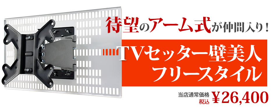 TVセッター壁美人フリースタイル