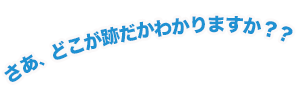 さあ、どこが後だかわかりますか？？